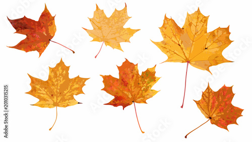 Konstfotografi collection of autumn maple leaves with stems isolated on a white background high