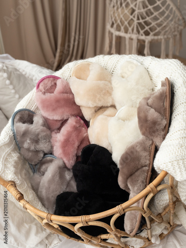 Photos composition of fluffy slippers