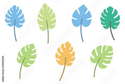 Tropical Monstera Leaves Illustration Set