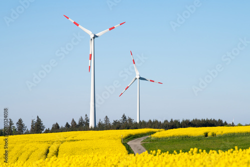 Quadro su tela Wind turbine park and yellow blooming raps field in spring, agriculture and rene