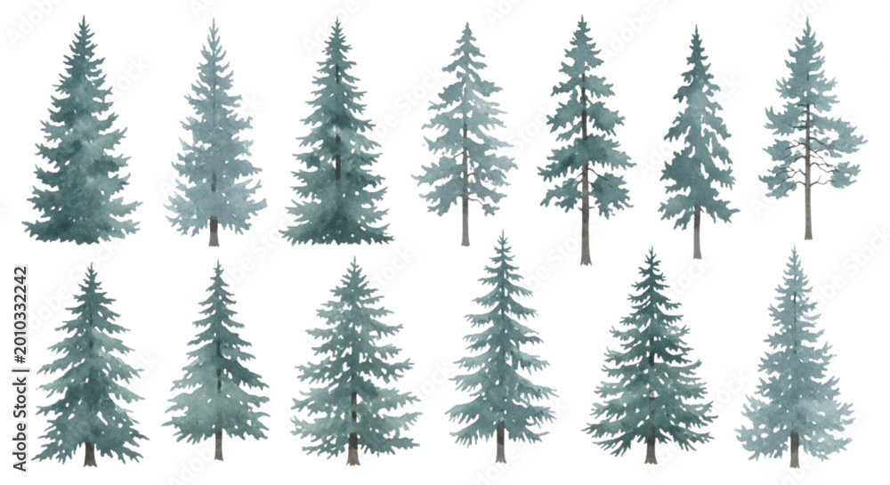 Obraz premium Watercolor Pine and Spruce Tree Collection, Misty Coniferous Forest Illustration