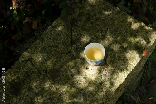 Bild auf Leinwand A single white porcelain cup of herbal tea placed on a mossy stone under dappled