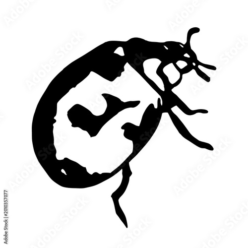 Photos Grungy Dark Aesthetic Bug Silhouette Edgy Vector Artwork