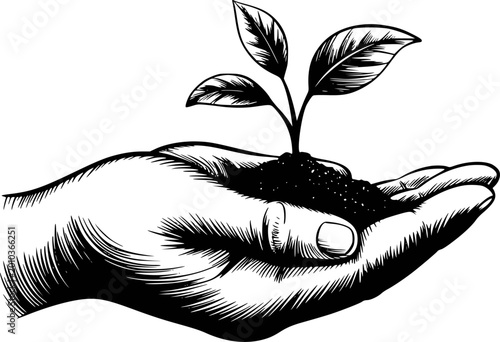 Tableau sur toile Hand holding soil with young plant sprout, black and white isolated