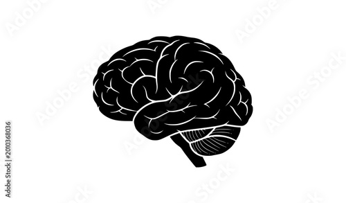 Bild auf Leinwand Detailed anatomical black silhouette of a human brain, intelligence concept
