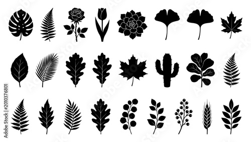 A diverse collection of black silhouette plant motifs, including leaves, flowers, and succulents, perfect for design purposes.