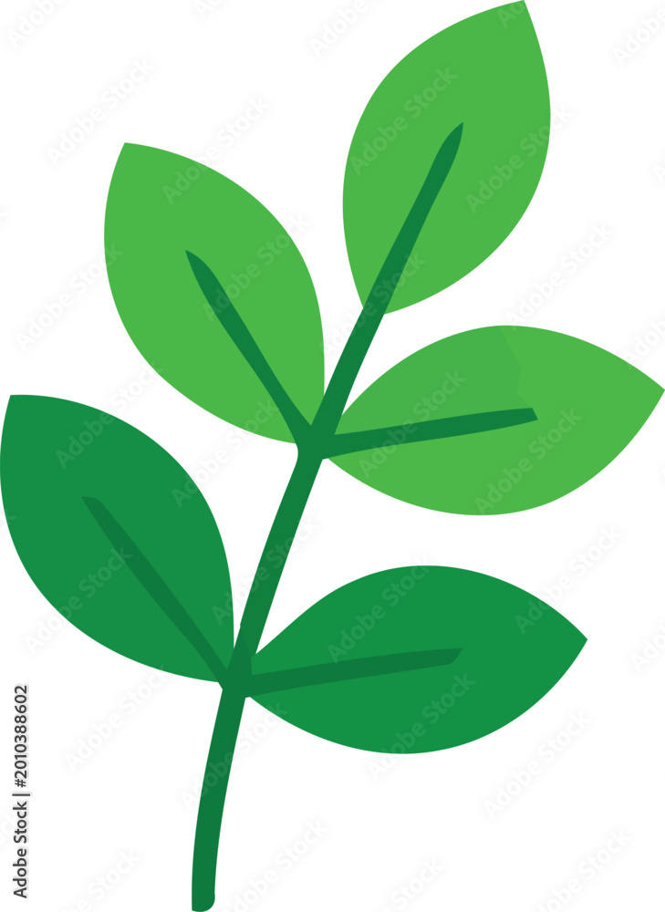 Fototapeta premium Green Leaf Branch Vector Icon Isolated on White Background Flat Design of Organic Foliage