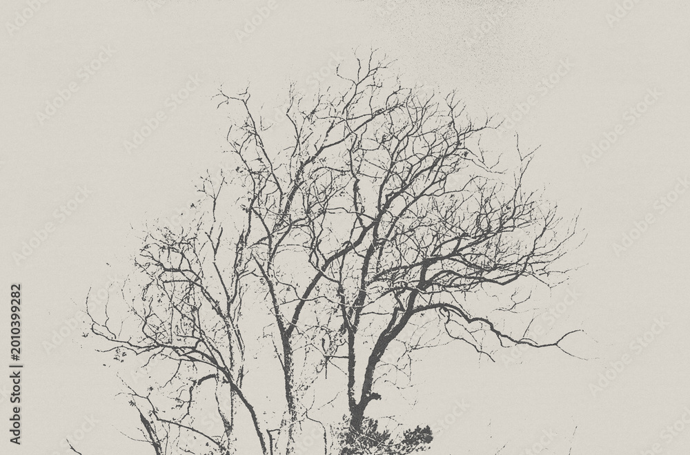 Obraz premium silhouette of a tree vintage poster halftone