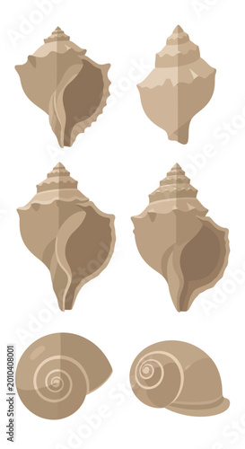 Cuadro en lienzo Collection of Seashells: Conch, Whelk, and Spiral Shells - Vector Illustration