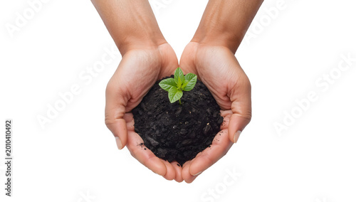 Hands Holding Soil with Green Plant Sprout | Eco Friendly Growth and Sustainability Concept