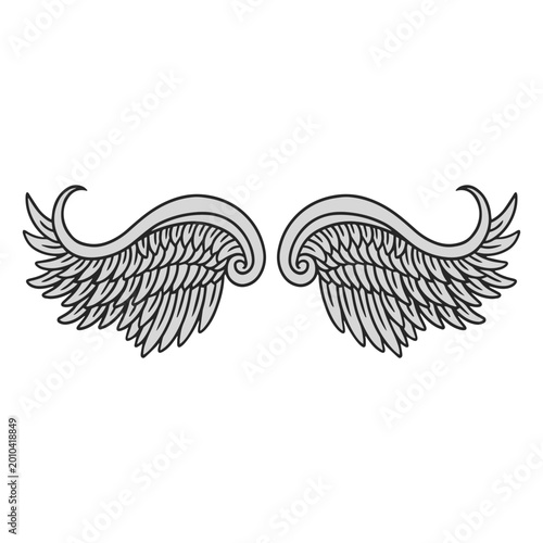 Obraz na plátně Winding angel wings