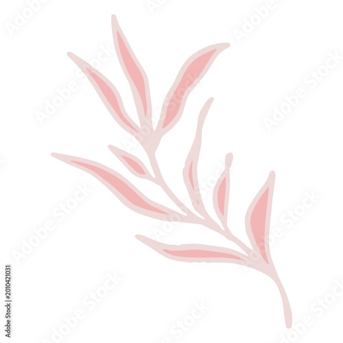 Fotografía Seaweed sway in the waters
