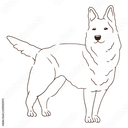 Foto White shepherd dog stroke