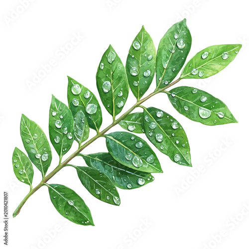 Fotografía watercolor of Dewy Green Spring Leaves vector painting, isolated on a white background