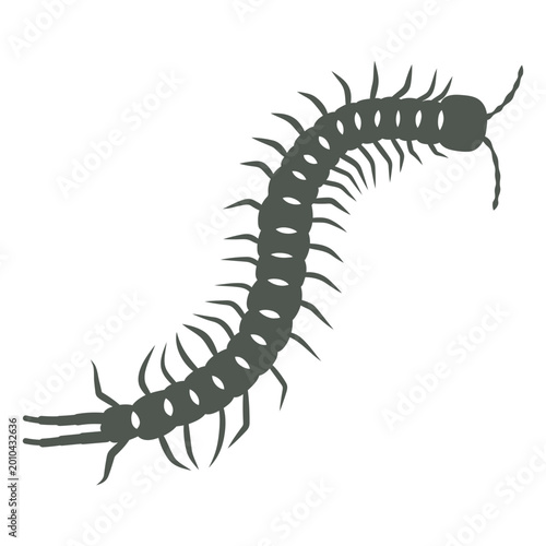 Slika na platnu Dark image of a centipede