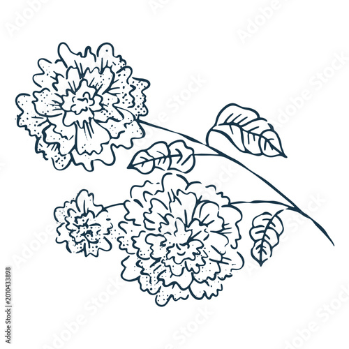 Photography Marigolds to commemorate the Day of the Dead