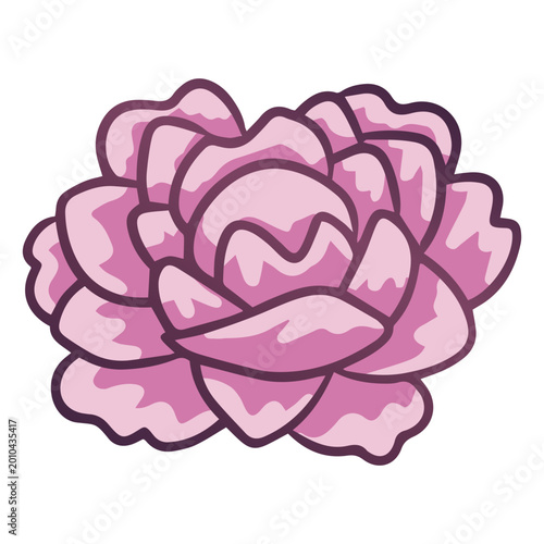 Photography Pink flower with resplendent petals