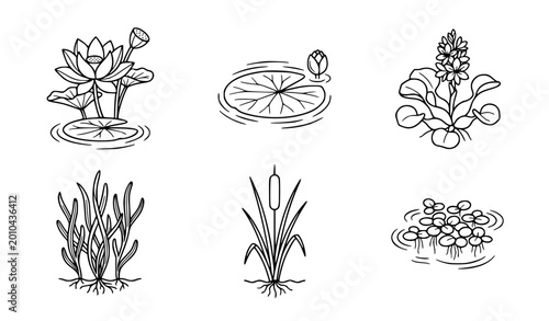 Photos Minimalist aquatic plants and water flowers vector illustration set clean black