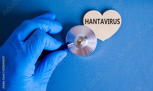 Bilde på lerret Hantavirus medical words symbol