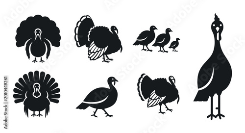 Tableau sur toile 7 Turkey silhouette icons poultry birds, solid black style, thanksgiving farm an