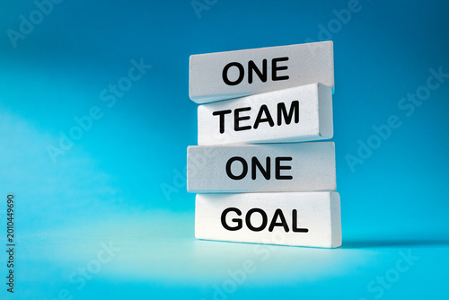 One team, one goal. A motivational slogan for teamwork. Cooperation and a common goal. Business application. Blue background and text on white blocks.