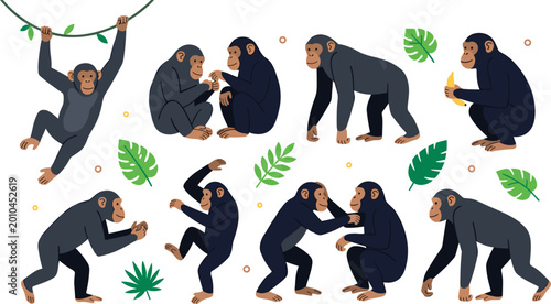 Canvas Print Cartoon Chimpanzee Character Set with Different Actions and Poses, Cute Primate Animals Playing, Eating, Climbing, Social Interaction Jungle Wildlife Vector Illustration