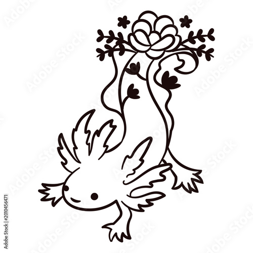 Photography Axolotl stroke floral sea creatures