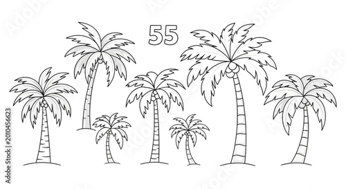 Tableau sur toile Palm trees in a row standing.