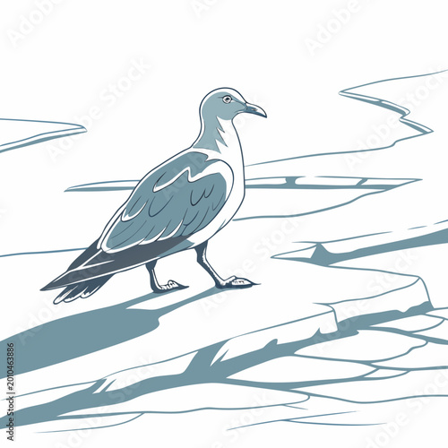 Fotografía A single seagull walking on a white icy surface in a winter setting