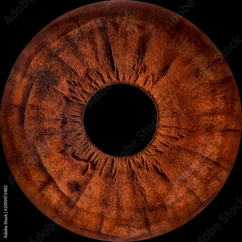 Close-up of human eye iris on black background, macro photography