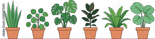 Photos Potted Houseplants Vector Icon Set Featuring Monstera Snake Plant Pilea Fern and
