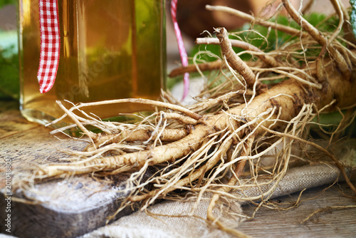 Foto Fresh wild teasel root with a bottle of herbal tincture in the background