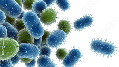 Tableau sur toile Blue and green rod-shaped and spherical bacteria, isolated on transparent backgr