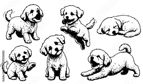Foto Bichon frise puppy set with different expressions and poses detailed vector illu