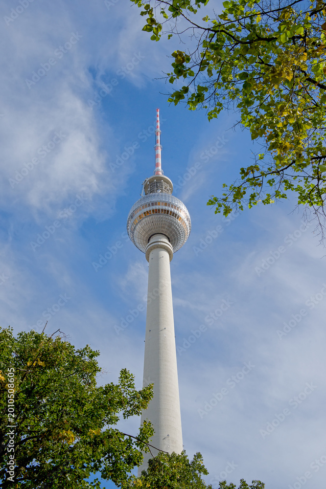 Obraz premium low angle view on Berlin TV tower framed by trees