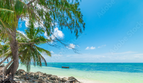 Small boat by the shore in a tropical beach in Praslin island