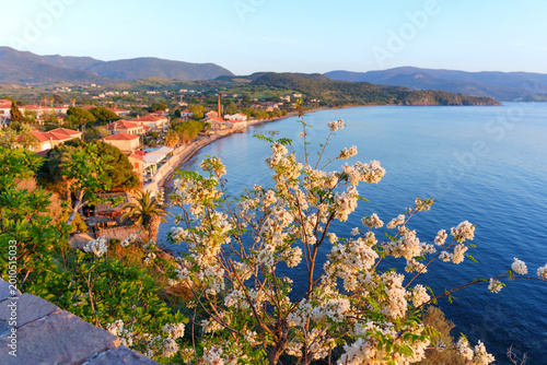 Foto Molyvos Village Coastal View with White Flowers, Lesvos Island, Greece