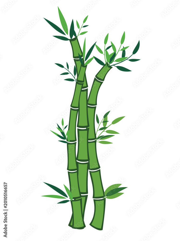 Obraz premium Green bamboo stalks with leaves illustration on a transparent background