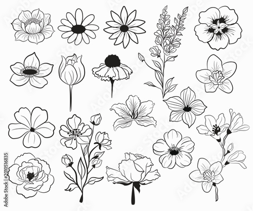 Minimalist Flower Vector Bundle Aesthetic Floral Elements