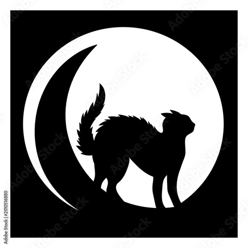 Foto Silhouette of a cat against a moonlit background