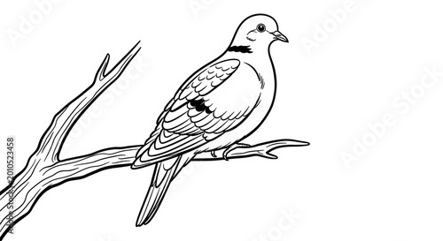 A detailed black and white line of a mourning dove perched on a tree branch