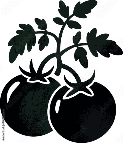 Two ripe red tomatoes on vine with green leaves stylized vector illustration.