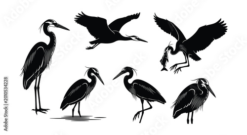 Photos Heron silhouettes in various poses black vector illustration