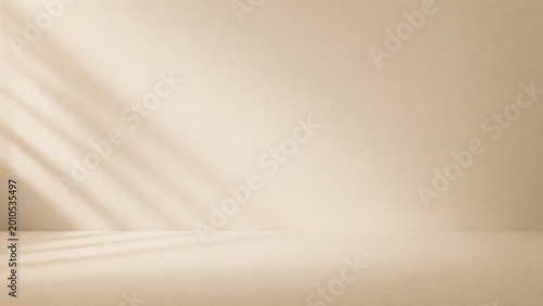 Minimalist Studio with Light and Shadow: A clean studio bathed in soft, natural light, with the play of shadows creating a serene and minimalist atmosphere.