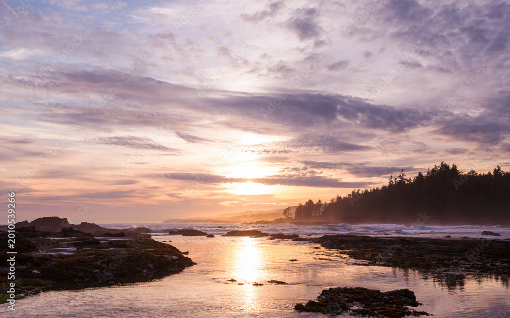 Fototapeta premium Vancouver island