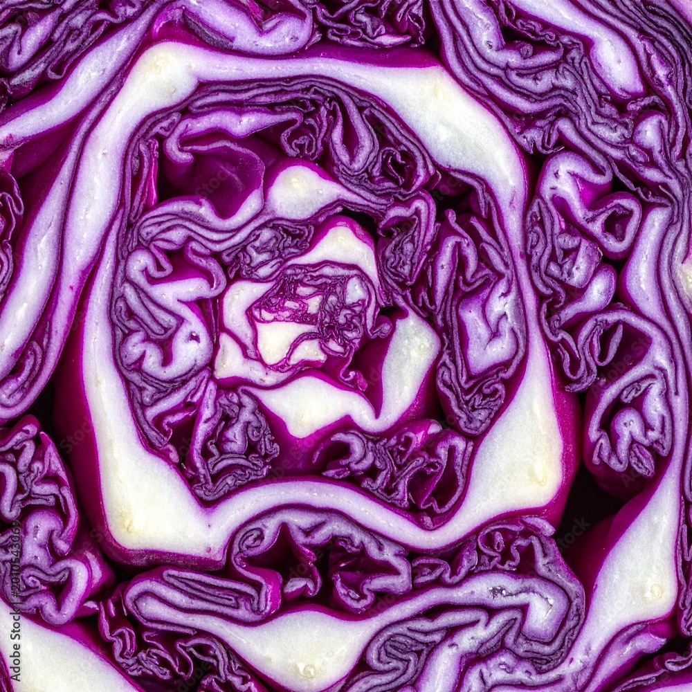 Obraz premium Rotkohl-Detailaufnahme (roh, angeschnitten)