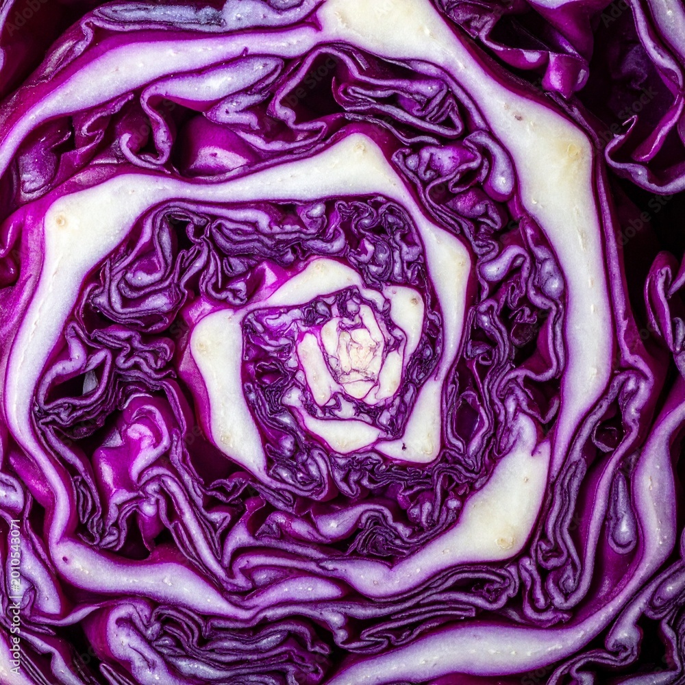 Obraz premium Rotkohl-Detailaufnahme (roh, angeschnitten)