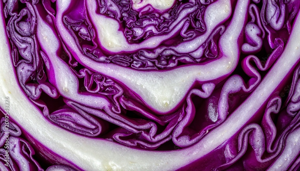 Obraz premium Rotkohl-Detailaufnahme (roh, angeschnitten)