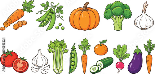Vegetable collection with fresh organic farm produce including carrot pumpkin broccoli and more colorful vector illustration set