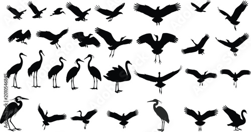 Bild auf Leinwand Large collection of flying and standing bird silhouettes including herons cranes
